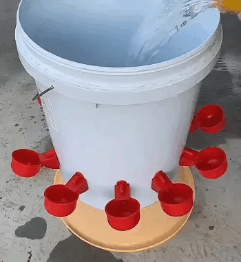 Automatic Poultry Water Cup