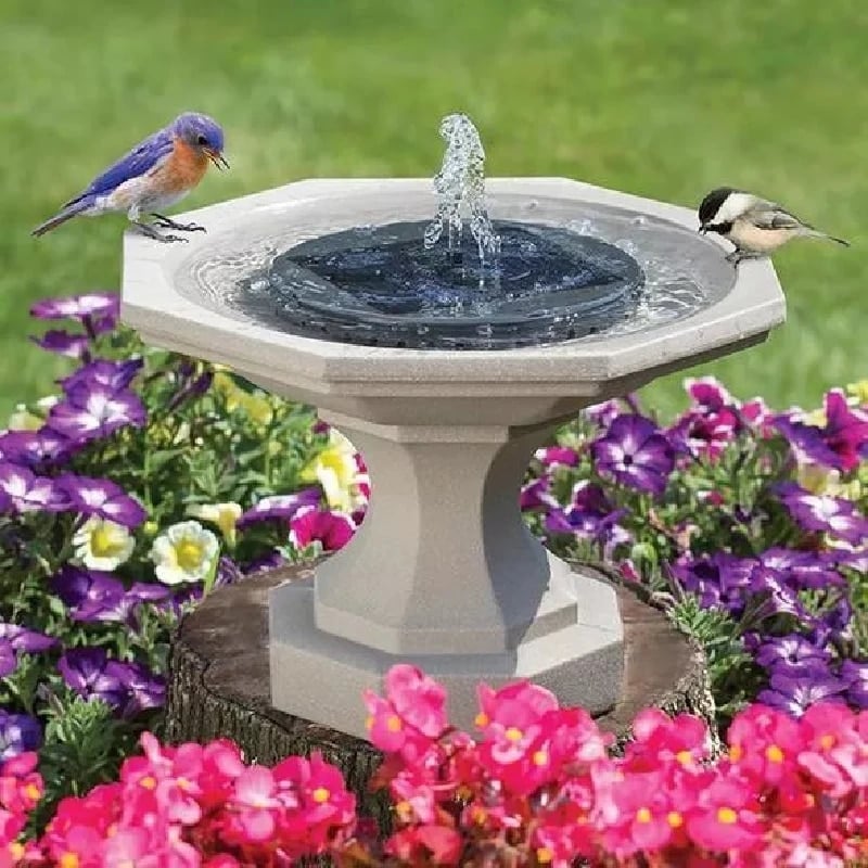 Solar Powered Water Fountain