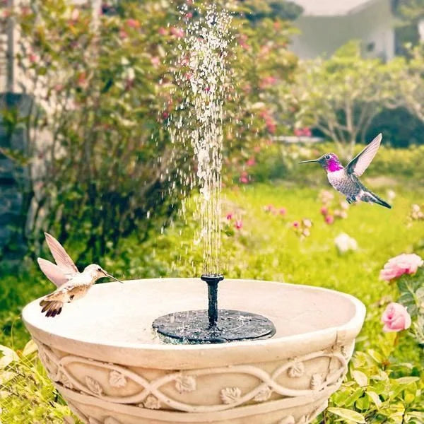 Solar Powered Water Fountain